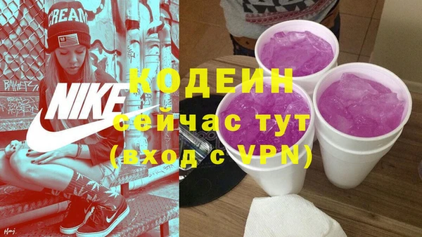 прущие грибы Гусев