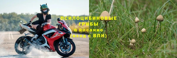 эйфоретик Куйбышев