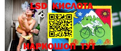 эйфоретик Берёзовский