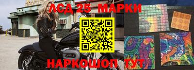 индика Беслан