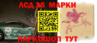 стаф Камышлов