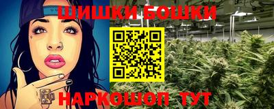 индика Беслан