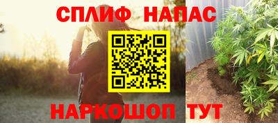 стаф Камышлов