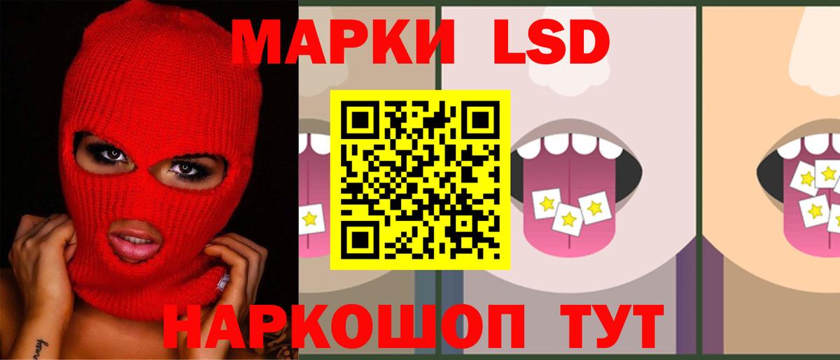 Меф Дятьково