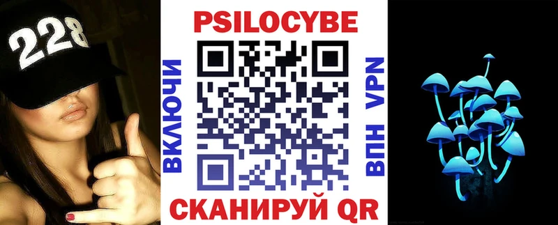 даркнет сайт Дятьково Псилоцибиновые грибы Psilocybine cubensis