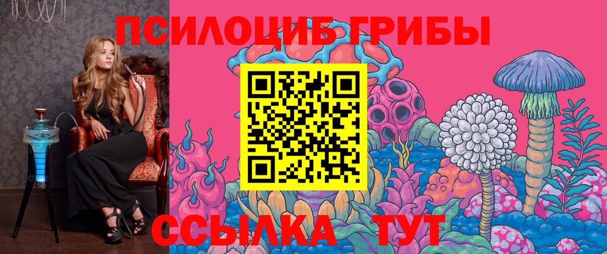 Дятьково  Псилоцибиновые грибы GOLDEN TEACHER  Галлюциногенные грибы Magic Shrooms  Вход с VPN 