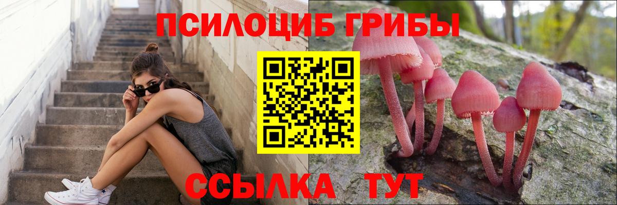 Псилоцибиновые грибы мухоморы Дятьково